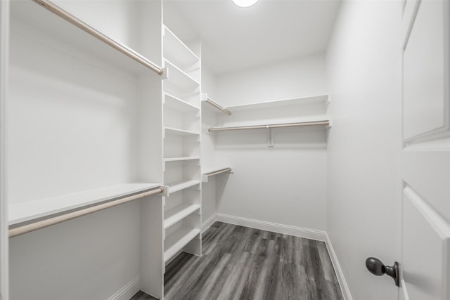 walk in closet with dark wood-type flooring