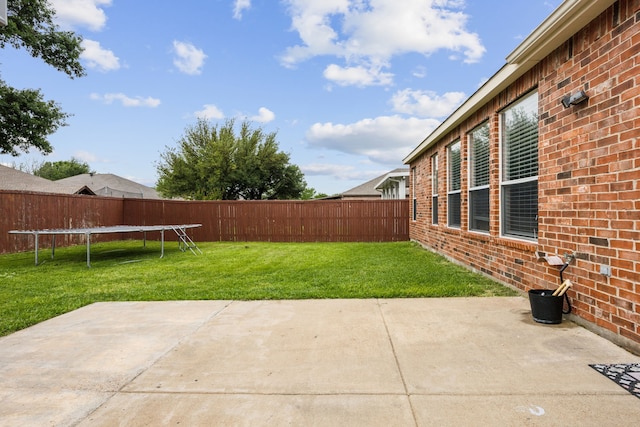 10602 Greenbriar Ln, Rowlett, TX 75089 - view of yard with a patio, a fenced backyard, and a trampoline