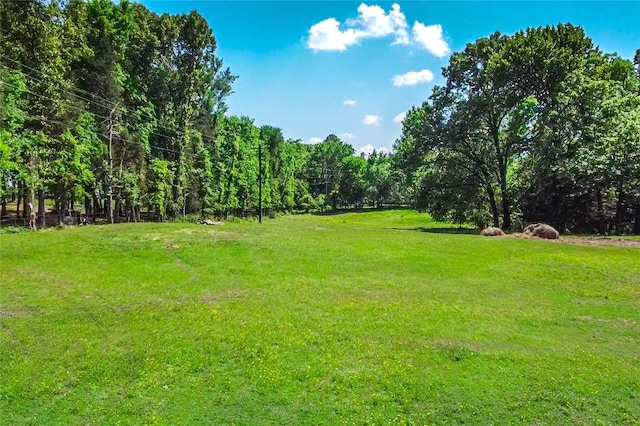 view of yard featuring a view of trees