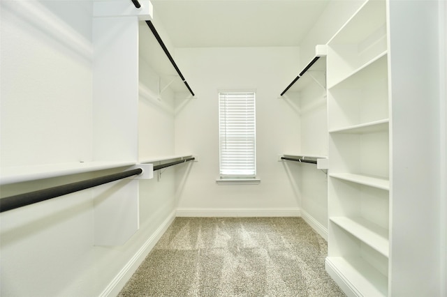 4713 Piedras Lanzar Dr, Mckinney, TX 75070 - walk in closet featuring carpet flooring