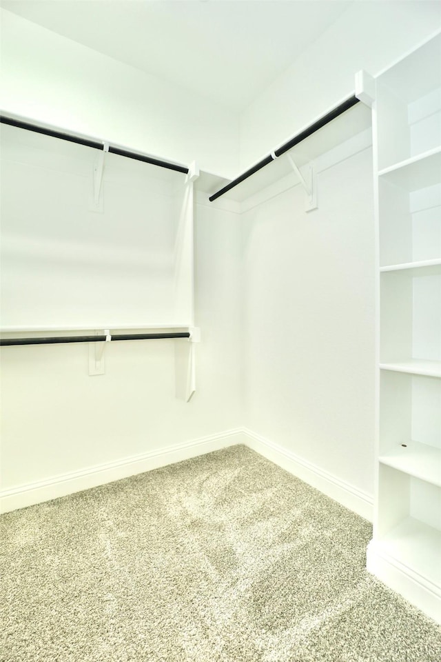 4713 Piedras Lanzar Dr, Mckinney, TX 75070 - walk in closet featuring carpet floors