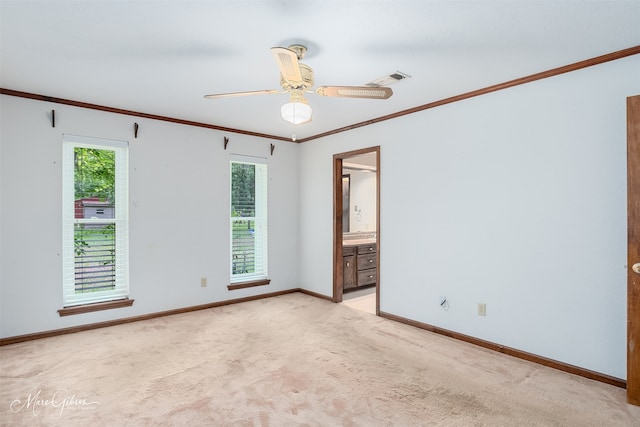 5220 Linton Cutoff Rd, Benton, LA 71006 - spare room featuring crown molding, baseboards, light carpet, and a wealth of natural light