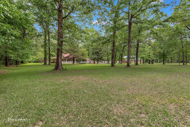 5220 Linton Cutoff Rd, Benton, LA 71006 - view of yard