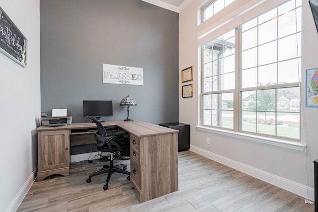 426 Norbury Dr, Rockwall, TX 75032 - office space featuring baseboards, light wood finished floors, crown molding, and a high ceiling