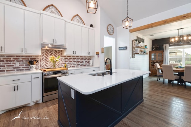 kitchen featuring stainless steel electric range, a sink, light wood-style flooring, backsplash, and under cabinet range hood