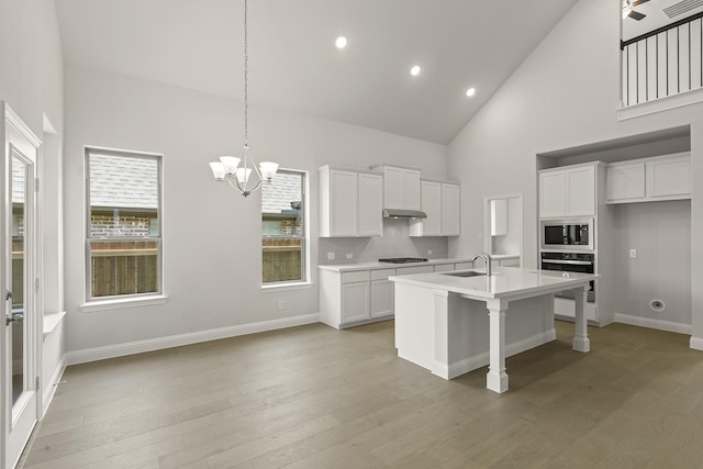 4327 Hudson St, Fate, TX 75087 - kitchen with stainless steel appliances, a sink, high vaulted ceiling, a chandelier, and white cabinets