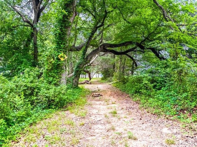 TBD County Road 891, Jewett, TX 75846 - view of road with a view of trees and dirt driveway