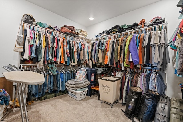 spacious closet featuring carpet flooring