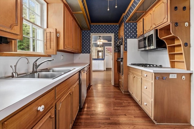 kitchen featuring dark wood-type flooring, a sink, open shelves, and stainless steel appliances