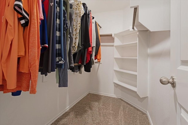walk in closet with carpet