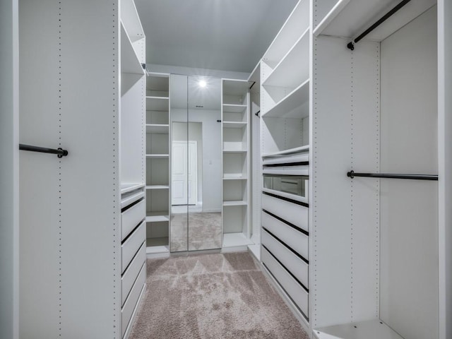 3517 Triumph Dr, Denton, TX 76207 - spacious closet with light carpet