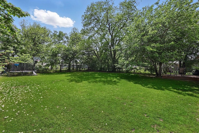 view of yard featuring a trampoline and fence
