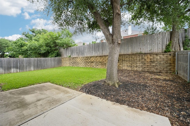 view of yard with a fenced backyard and a patio area