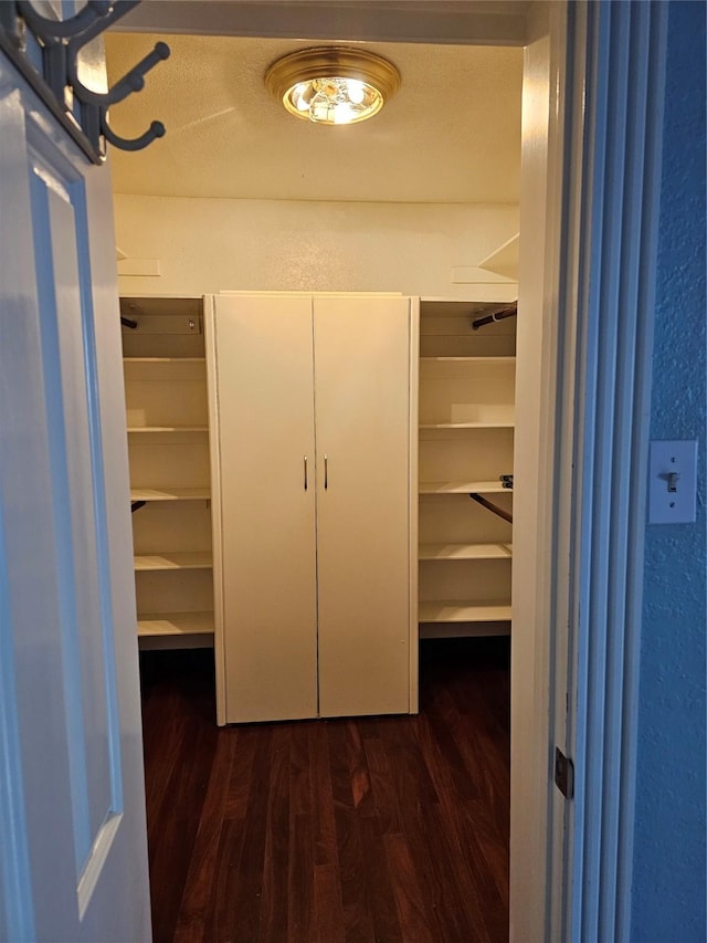 spacious closet with dark wood-style flooring