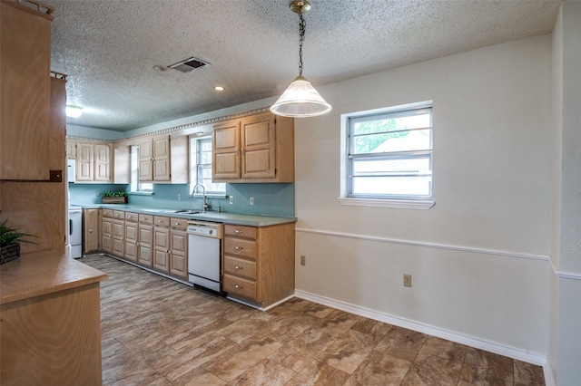 kitchen featuring a textured ceiling, a healthy amount of sunlight, a sink, and dishwasher