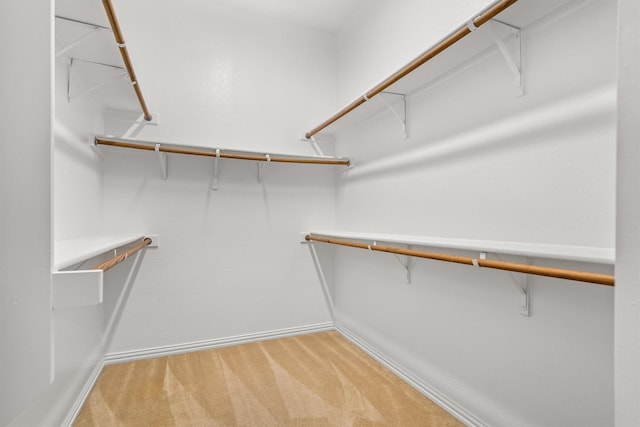 walk in closet with light carpet