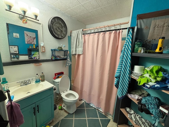 bathroom featuring vanity, a shower with curtain, and toilet