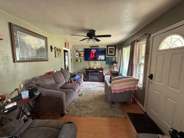 living area with a ceiling fan, plenty of natural light, and wood finished floors