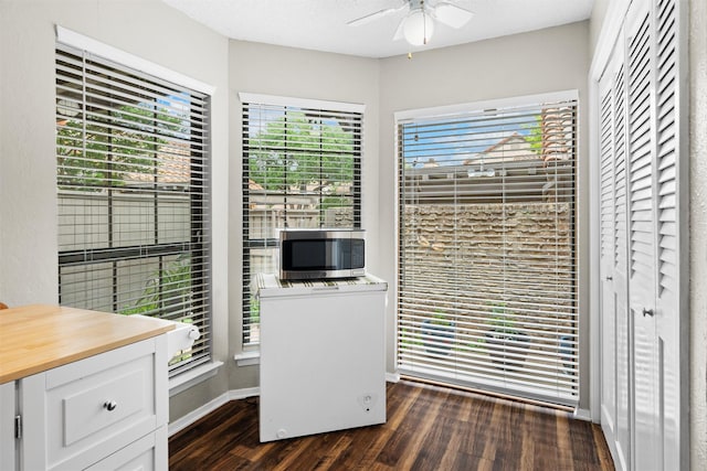 interior space with baseboards, dark wood-style flooring, a ceiling fan, and a healthy amount of sunlight