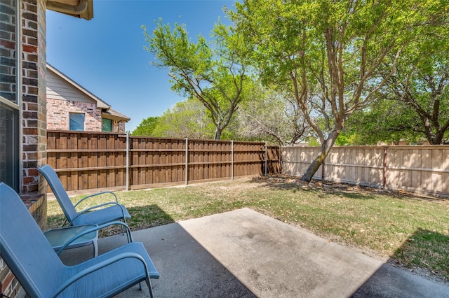 view of yard with a fenced backyard and a patio area