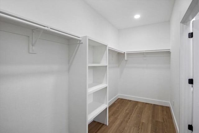 spacious closet featuring wood finished floors