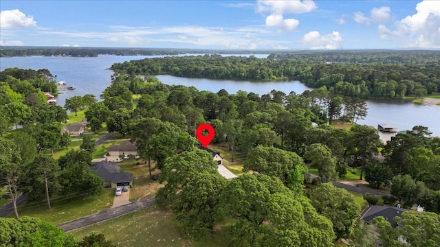 drone / aerial view with a water view and a forest view