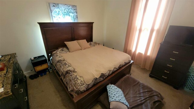 bedroom featuring light colored carpet and multiple windows