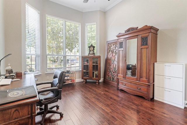 home office featuring dark wood-style flooring, ceiling fan, ornamental molding, and a healthy amount of sunlight
