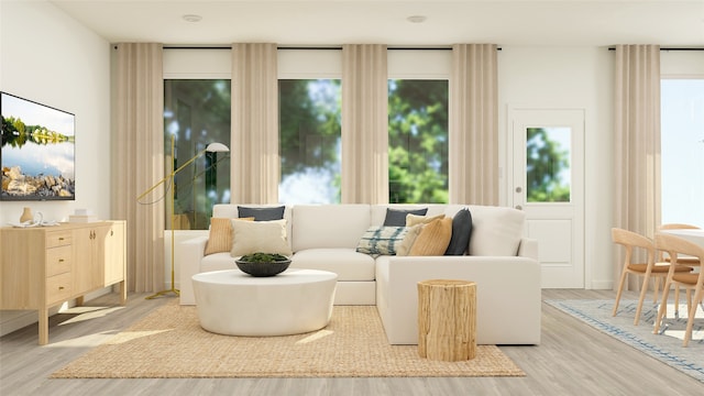 living room featuring light wood-style floors