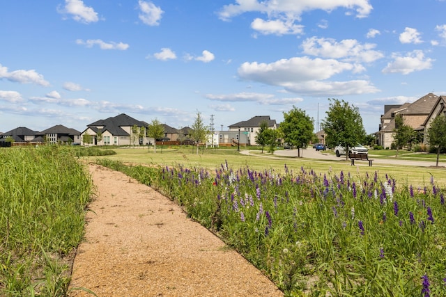 1101 Helmsley Dr, Frisco, TX 75036 - view of yard featuring a residential view