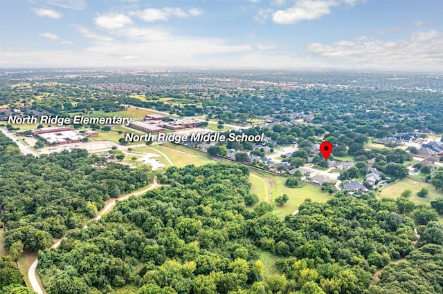 bird's eye view