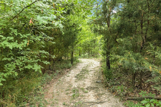 11374 Texas Highway 154 S, Yantis, TX 75497 - view of street featuring a view of trees