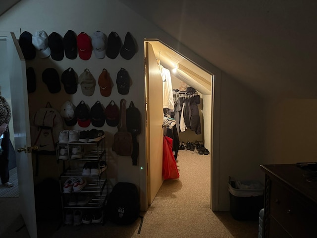 interior space featuring a closet, lofted ceiling, a spacious closet, and light carpet