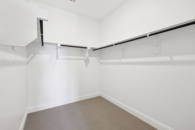 walk in closet with carpet floors