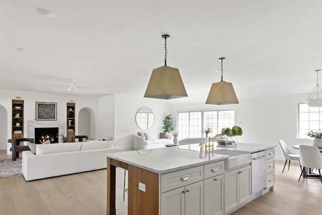 kitchen with a wealth of natural light, a sink, light wood-style flooring, and dishwasher