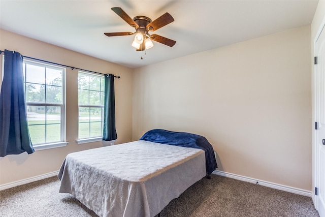140 Tnt Ct, Springtown, TX 76082 - bedroom featuring baseboards, multiple windows, and carpet