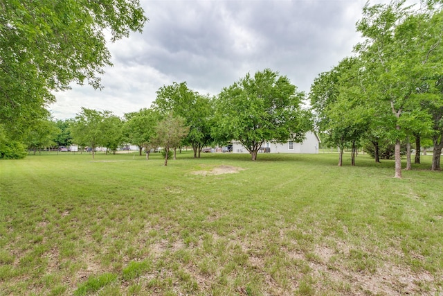 140 Tnt Ct, Springtown, TX 76082 - view of yard