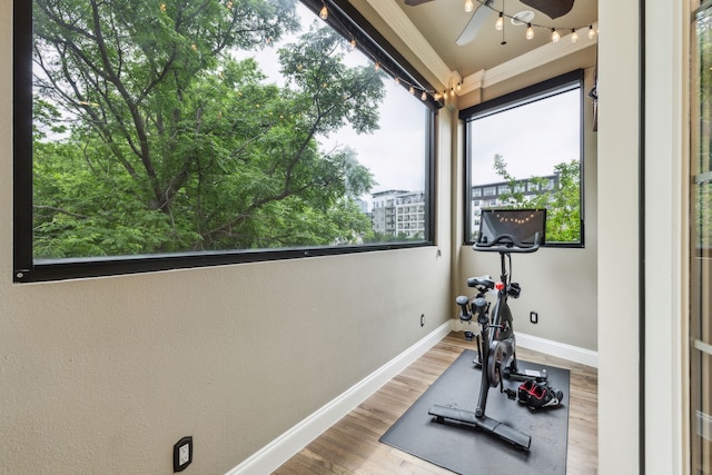 5102 Ridgedale Ave, Dallas, TX 75206 - exercise room featuring baseboards, a ceiling fan, crown molding, and wood finished floors