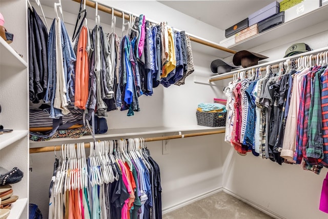 spacious closet featuring carpet floors