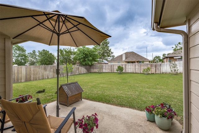 view of yard with a fenced backyard and a patio area