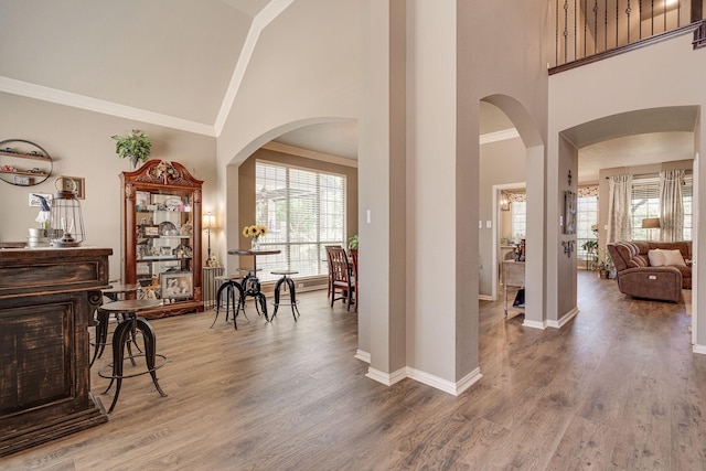 foyer featuring high vaulted ceiling, a healthy amount of sunlight, and wood finished floors