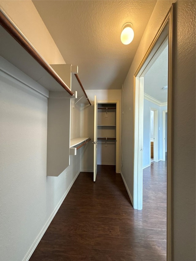 spacious closet featuring wood finished floors