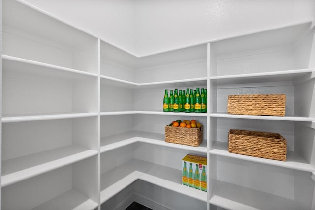 2812 Bluff Creek Dr, Mansfield, TX 76063 - view of storage area