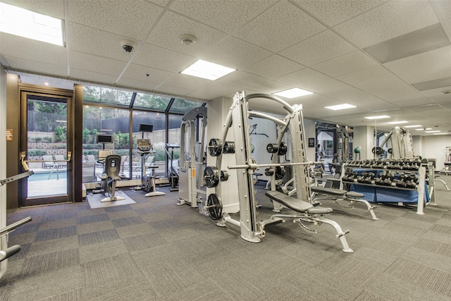 gym with expansive windows, carpet flooring, and a drop ceiling