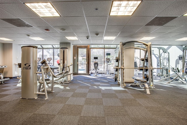 exercise room featuring carpet floors and a paneled ceiling