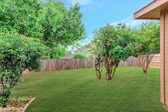 view of yard with a fenced backyard