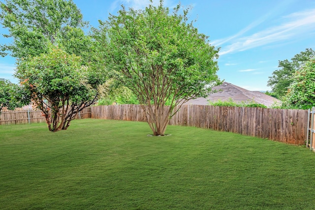 view of yard with a fenced backyard
