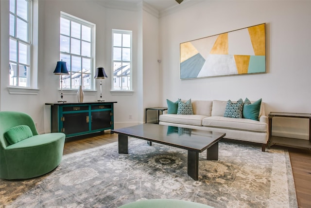 living room featuring ornamental molding, wood finished floors, and a wealth of natural light