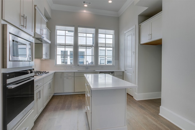 kitchen with crown molding, light wood-style floors, tasteful backsplash, a sink, and appliances with stainless steel finishes