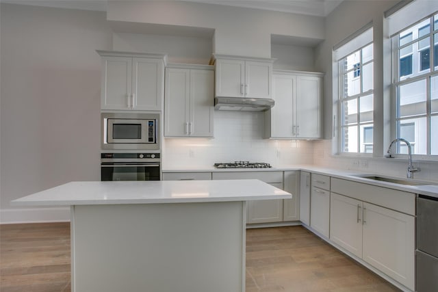 kitchen with tasteful backsplash, a sink, light countertops, light wood-style floors, and stainless steel appliances